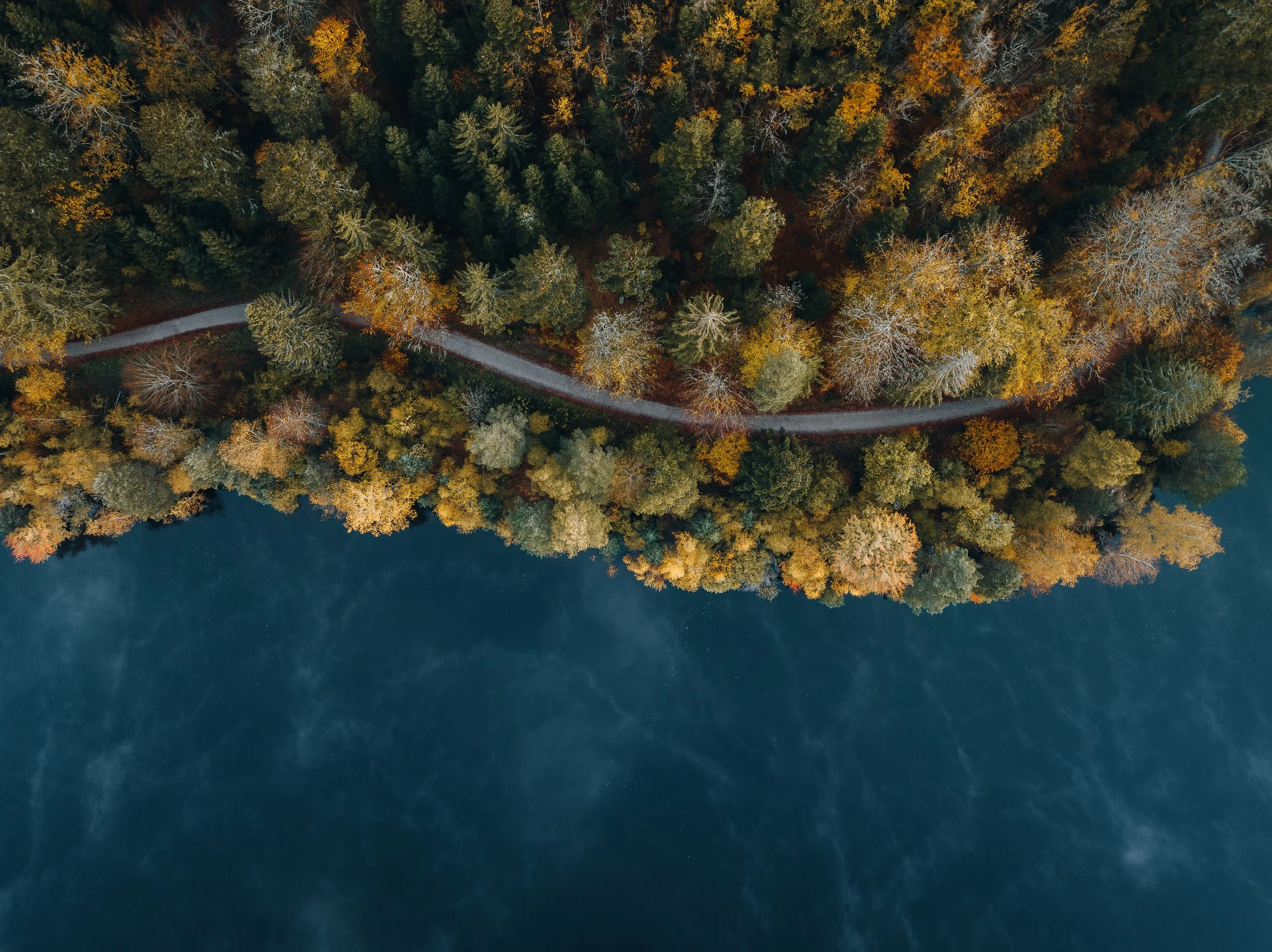 Luftaufnahme eines Waldes mit bunten Herbstbäumen entlang eines Flussufers, eine schmale Straße verläuft durch den Wald.