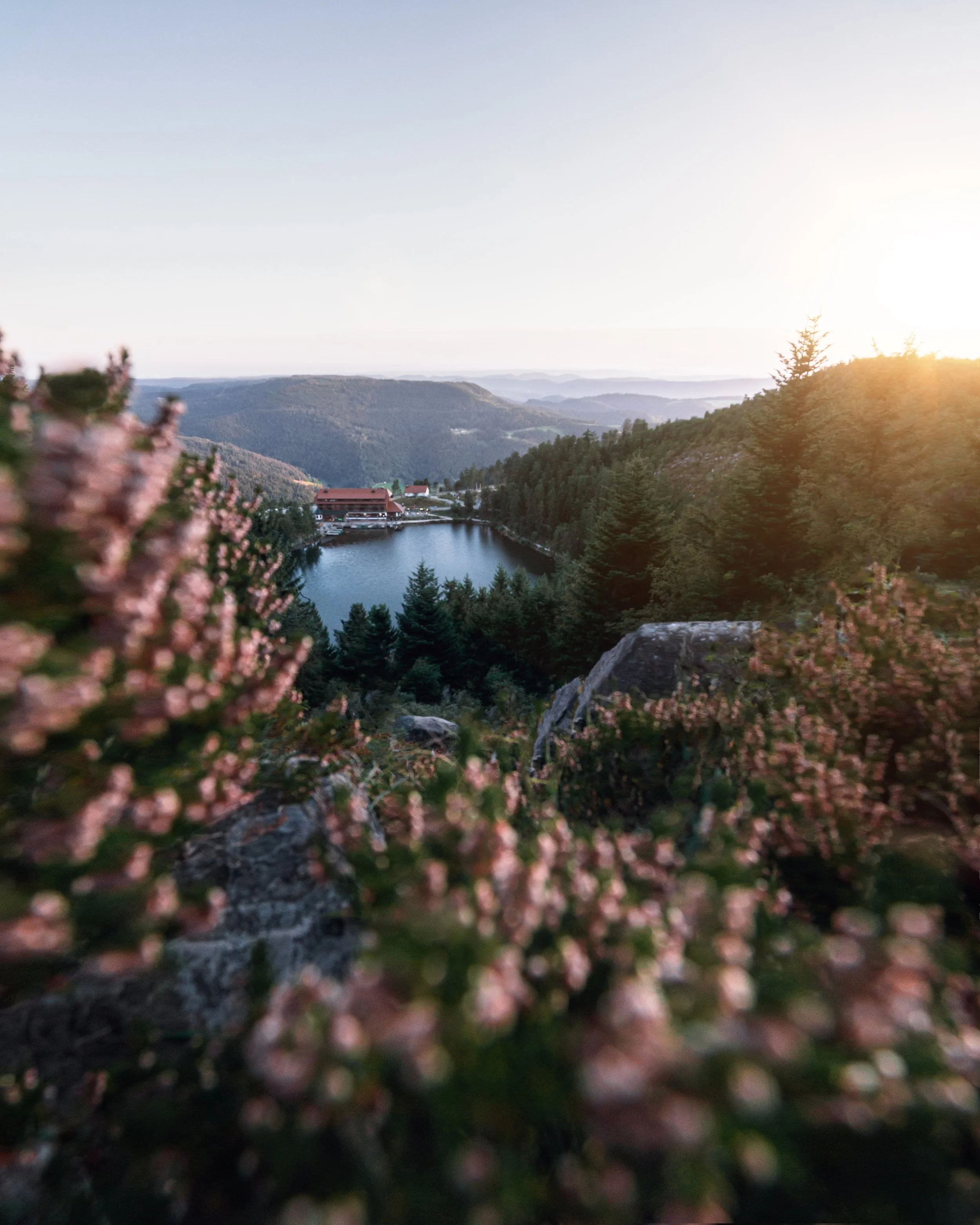 Ein See umgeben von dichten Wäldern mit einem roten Gebäude am Ufer, bei Sonnenuntergang in einer bergigen Landschaft, mit blühenden Pflanzen im Vordergrund.