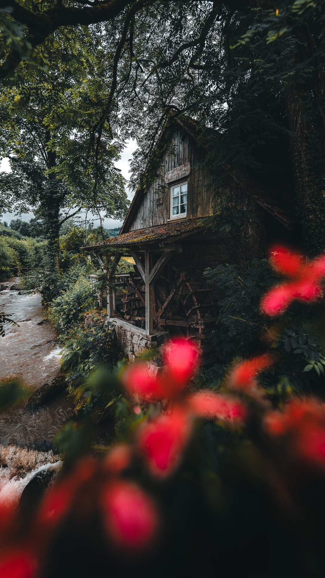 Ein altes Holzhaus mit Wassermühle am Fluss, umgeben von dichten Bäumen und bunten Blumen im Vordergrund.