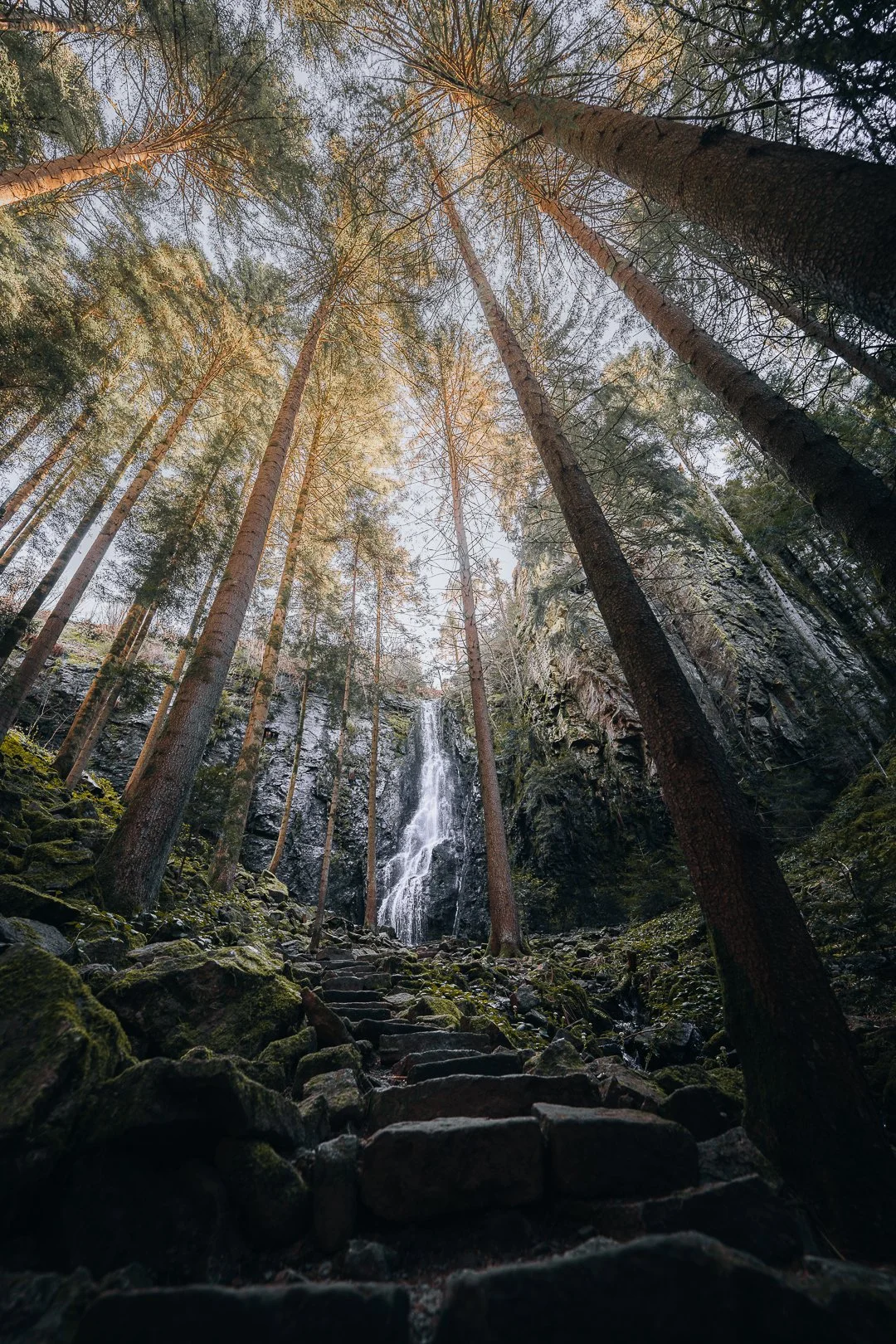 Wasserfall in einem dichten Kiefernwald, steinerner Treppenweg im Vordergrund.