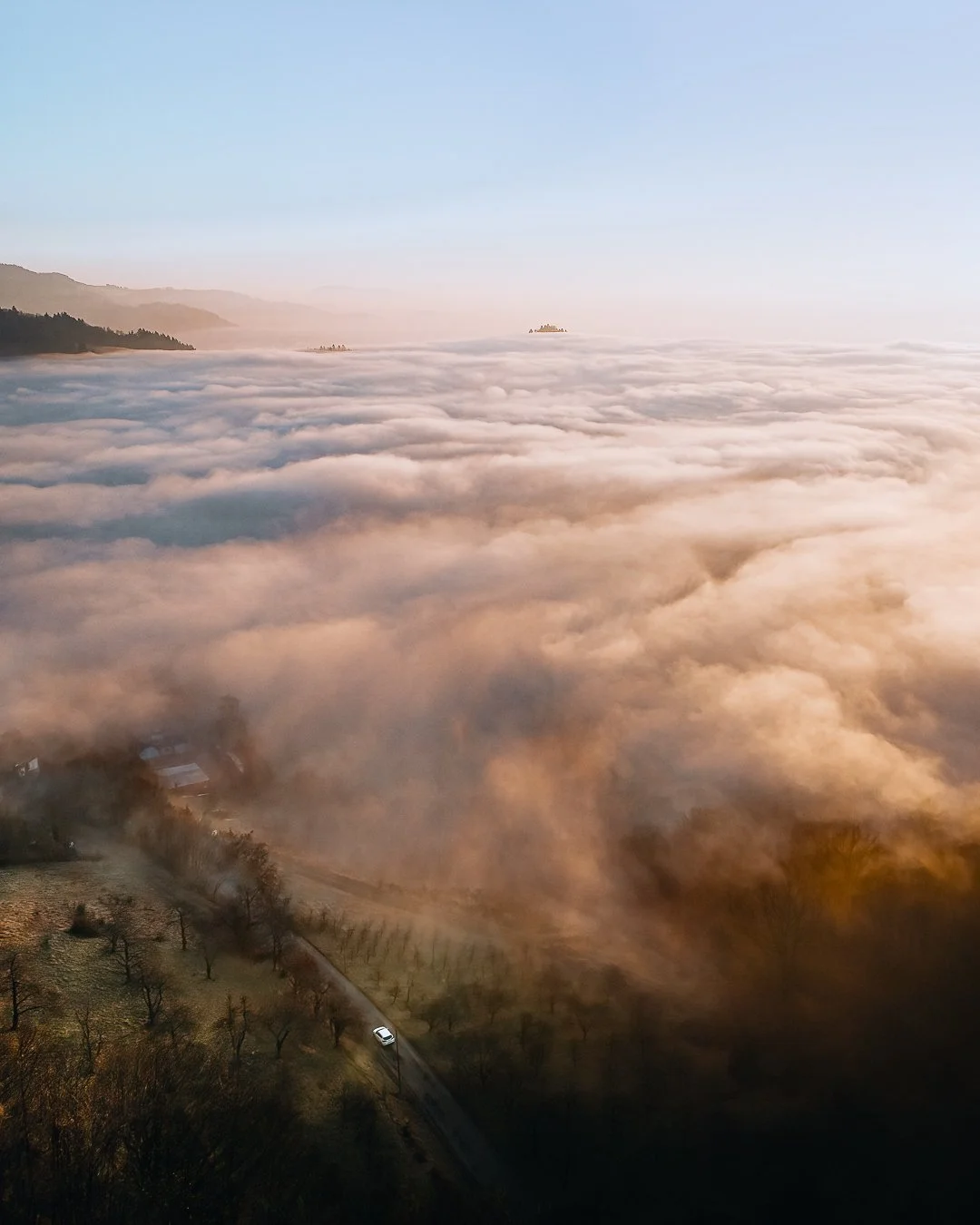 Dichte Wolken blanket den Himmel über einer bewaldeten Landschaft, mit einem kleinen Weg und einigen Bäumen im Vordergrund, und bergen auf der Horizontlinie.