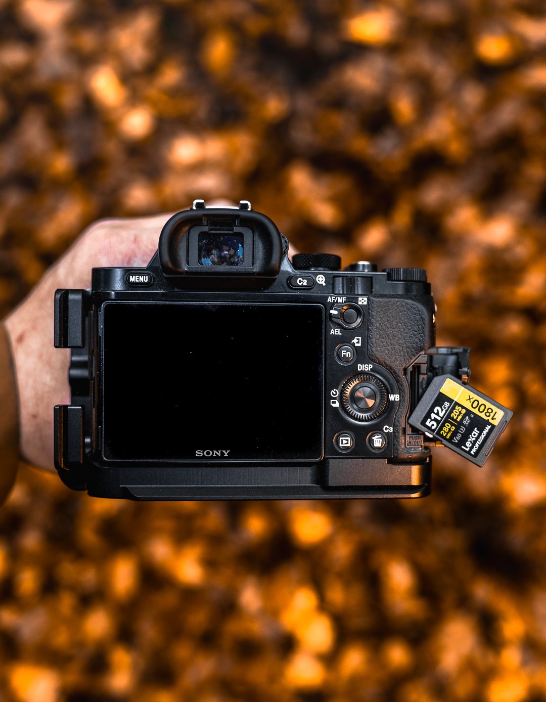 Digitale Kamera mit SD-Kartensteckplatz, betrachtet von oben gegen einen Hintergrund aus Laub im Herbst.