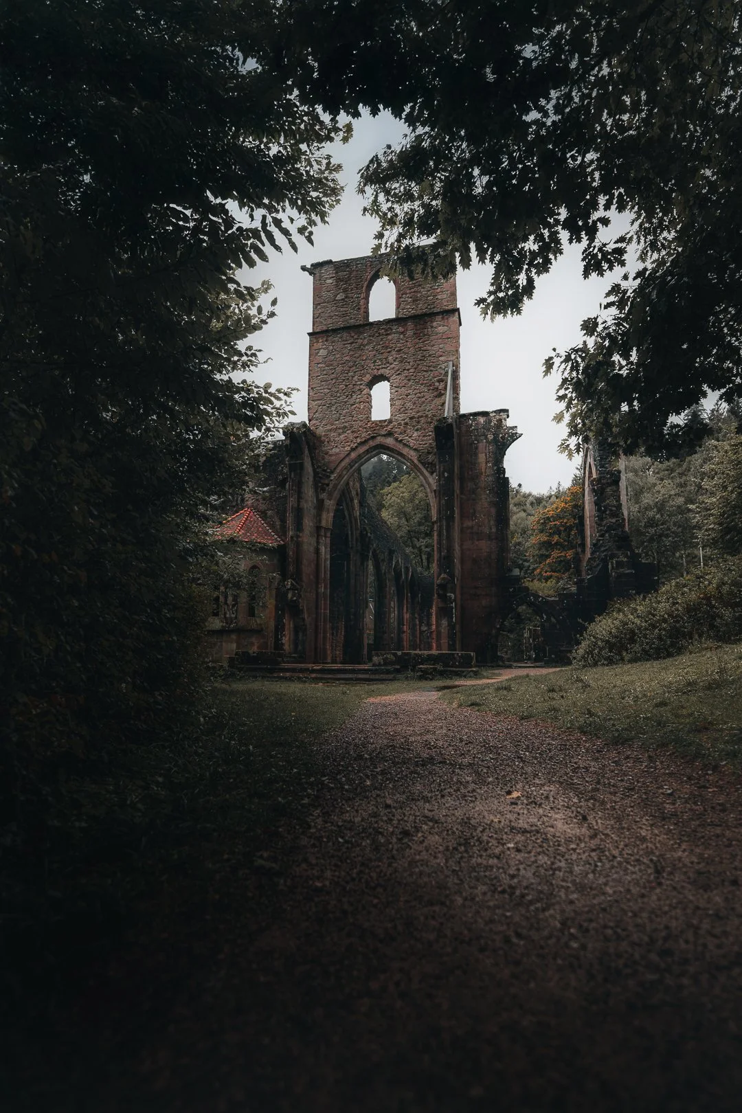 Verfallene alte Kirche umgeben von Bäumen, Blick durch einen Weg auf die Ruine