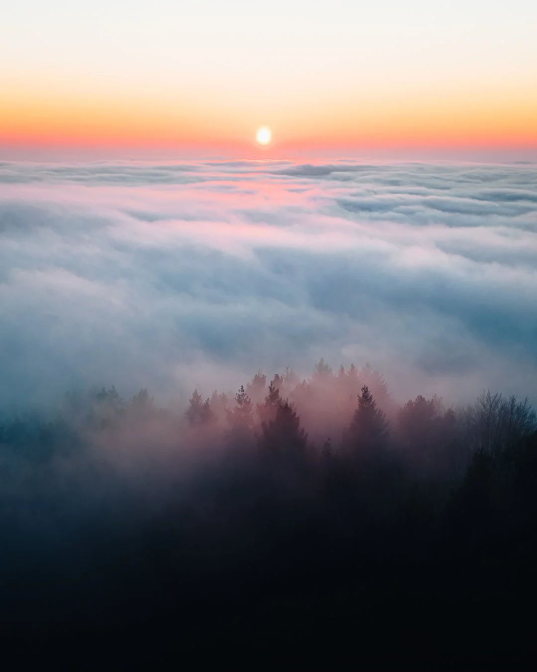 Ein Sonnenaufgang über Wolken und Bäumen im Nebel, mit Pastellfarben im Himmel.