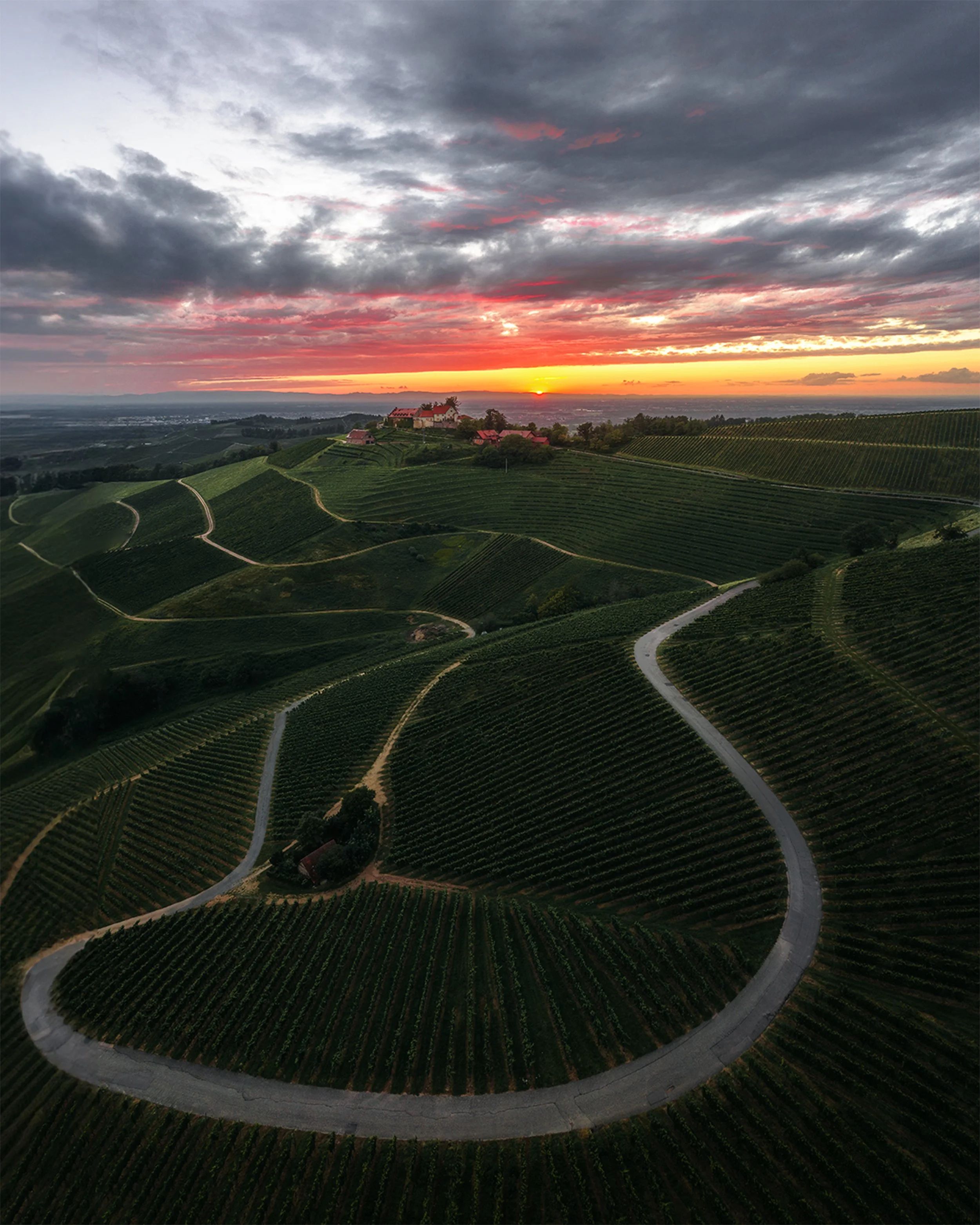 Landschaft mit Weinbergen in Hügeln bei Sonnenuntergang, Wolken am Himmel, einige Gebäude auf einem Hügel im Hintergrund, kurvige Straßen durch die Felder.