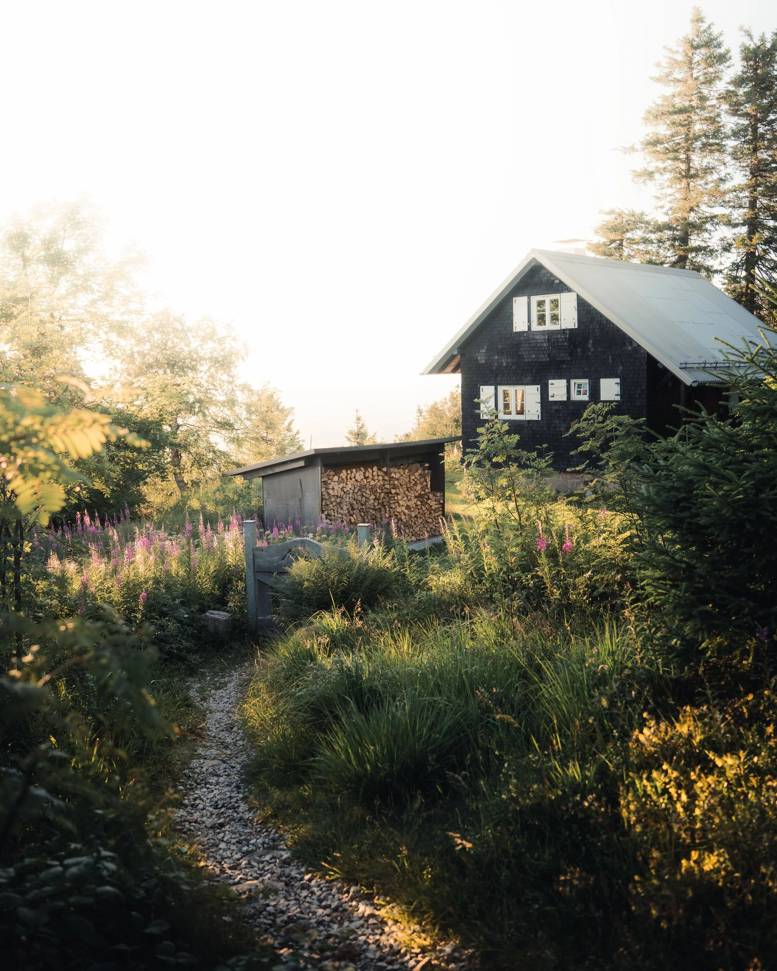 Ein ländliches Haus aus dunklem Holz mit weißen Fensterläden, umgeben von einem Garten mit Blumen und Büschen, im Sonnenlicht bei Sonnenuntergang.