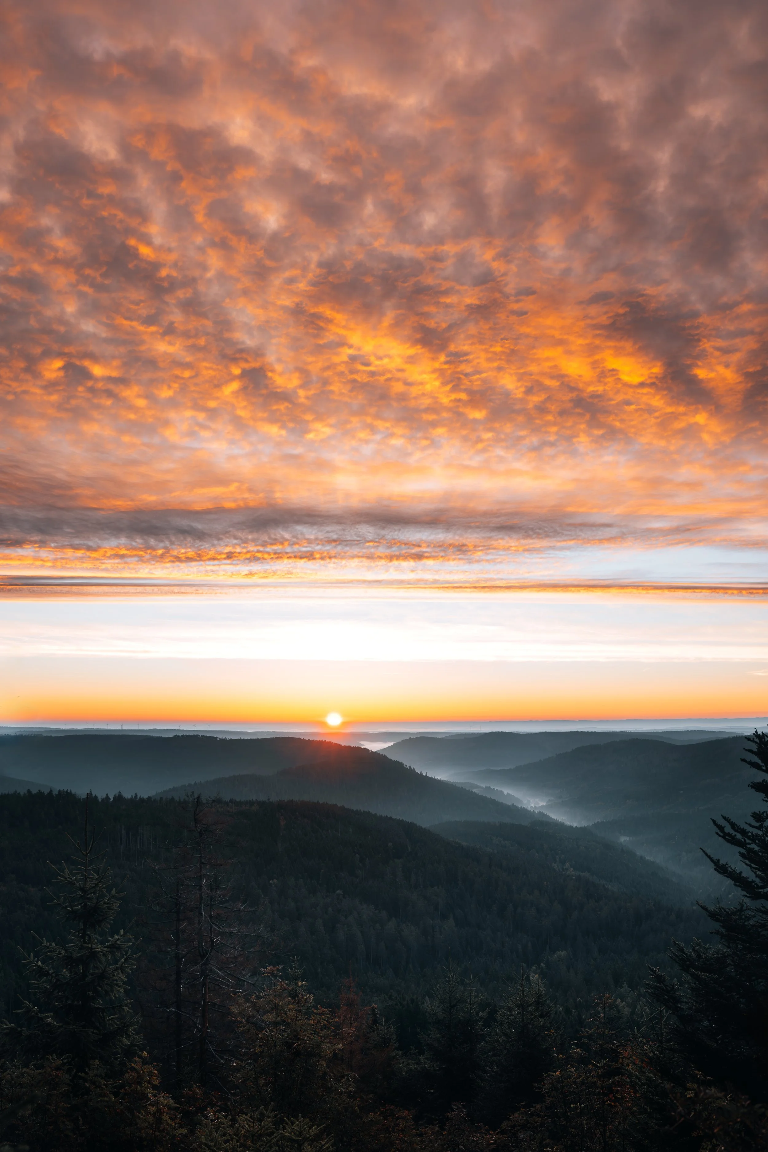 Blick auf ein Sonnenaufgang über bewaldeten Hügeln mit einem orangefarbenen Himmel und Wolken.