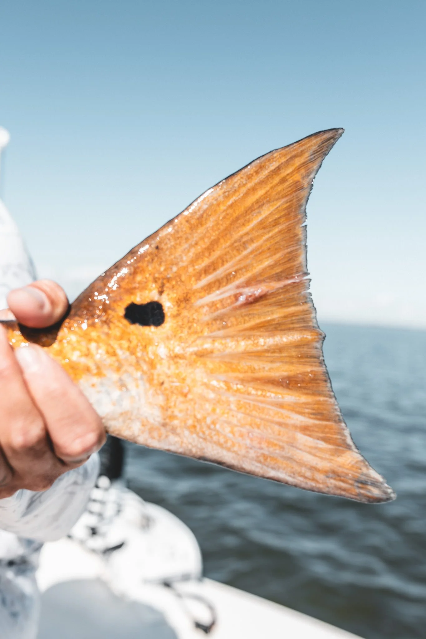New Orleans Fly Fishing Charter | Captain Steven Cratty75.jpg