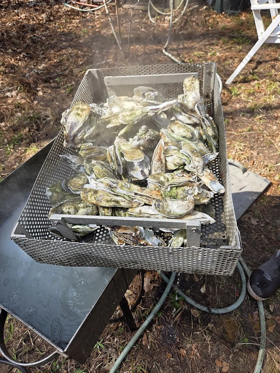 Oyster Roast 2026