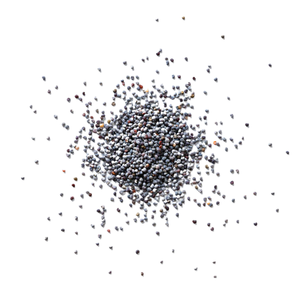 Haufen kleiner grauer und schwarzer Partikel oder Körner auf schwarzem Hintergrund.