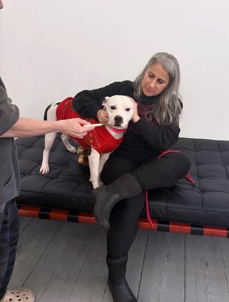 A woman sitting on a black leather bench, holding a white dog dressed in a red sweater. 