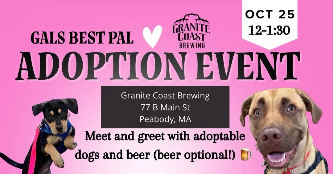 Adoption Event at Granite Coast Brewing