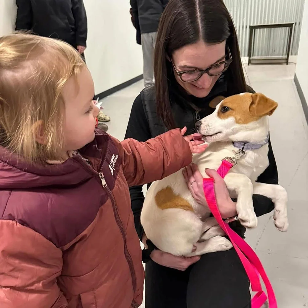 woman holding adoptable dog with small child petting it