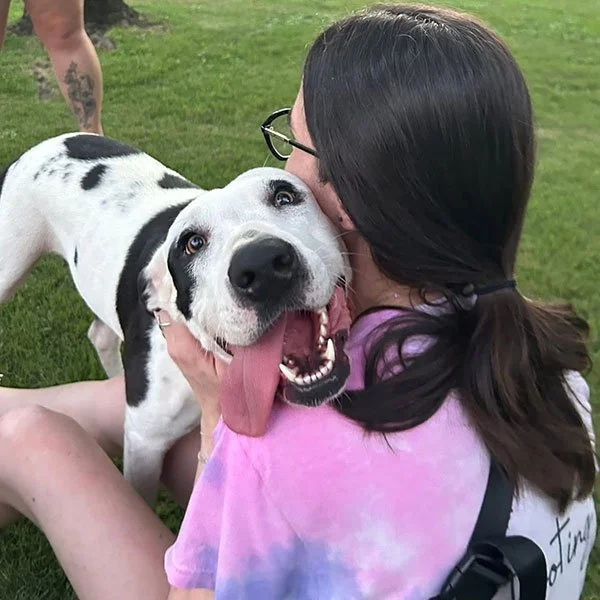 A woman with long dark hair and glasses hugging a happy Dalmatian dog with its tongue out, on a grassy field.