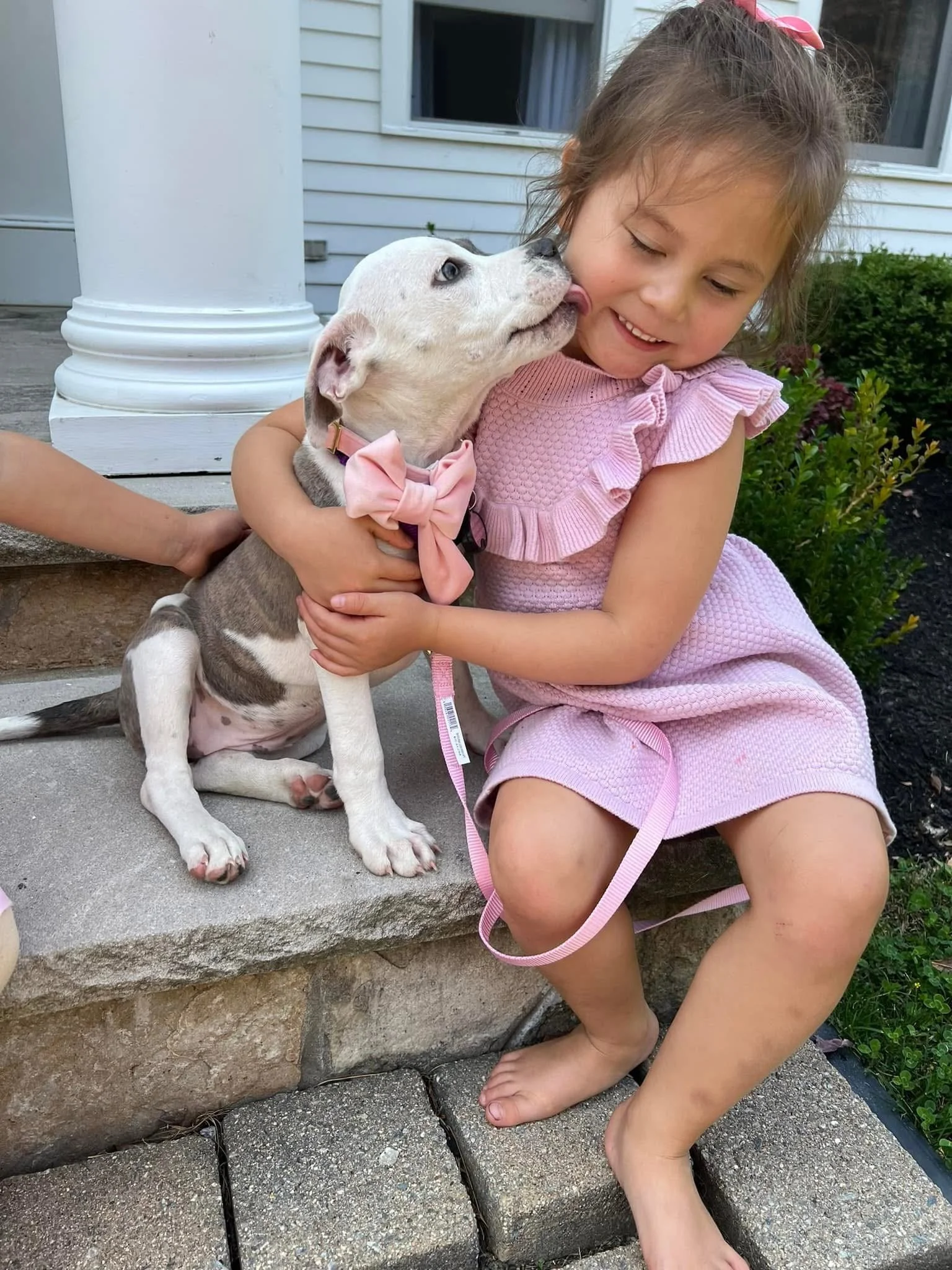 A young girl in a pink dress with ruffled sleeves and a pink bow in her hair is sitting on stone steps with her feet on the ground, smiling as she is licked on the face by a puppy. The puppy has a white coat with black and brown spots, blue eyes, and is wearing a pink bow tie collar. The background includes greenery and part of a house with white siding and a window.