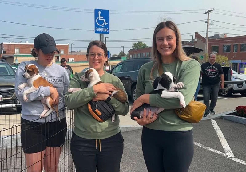 Three women holding puppies outdoors in a parking lot, with cars and a blue parking sign in the background.