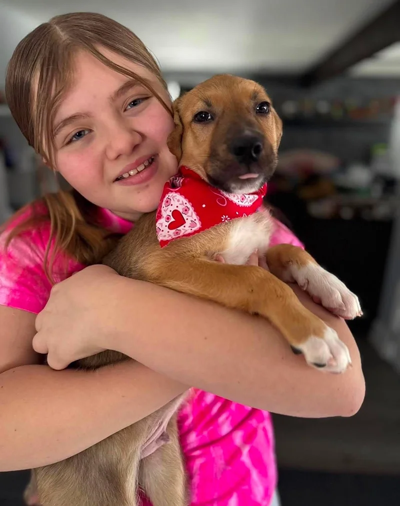 A young girl with light brown hair and a pink shirt hugging a small puppy with a red bandana, inside a home or kitchen.
