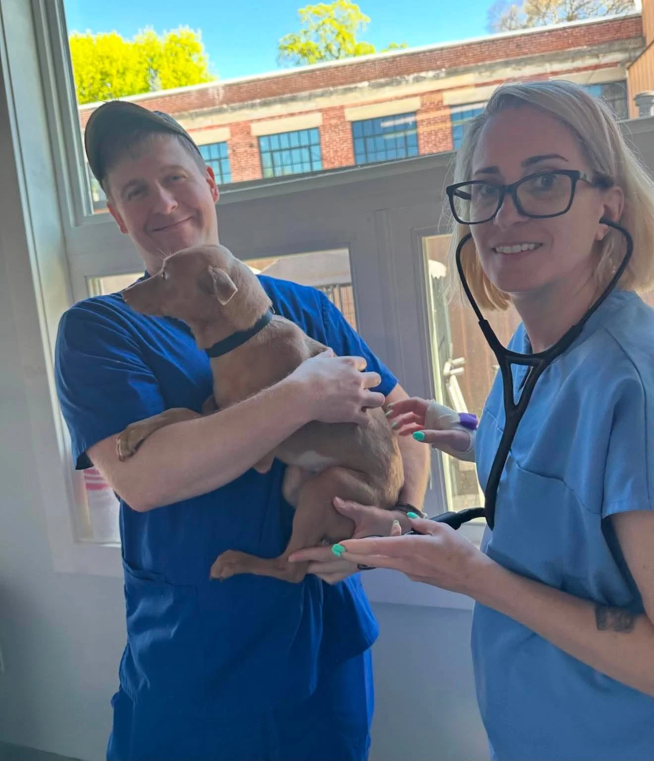 A man in blue scrubs holding a small brown puppy, and a woman in medical scrubs with a stethoscope around her neck, smiling indoors near a window with a cityscape view in the background.