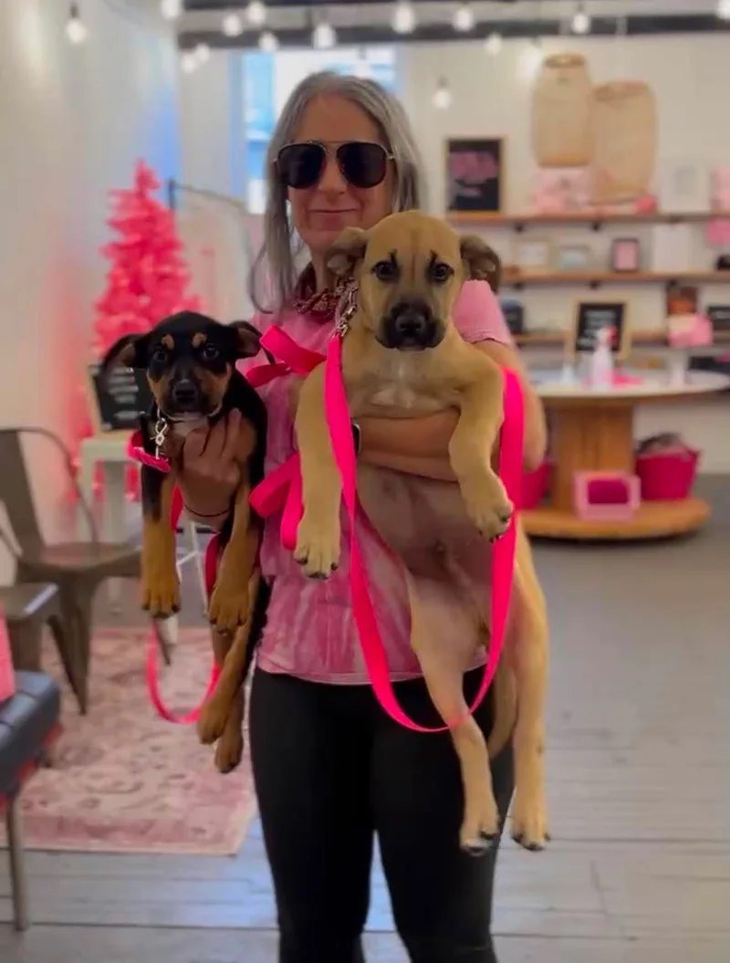 A woman with sunglasses holding two puppies, one black and tan and the other tan, inside Gals Best Pal with a pink Christmas tree in the background.