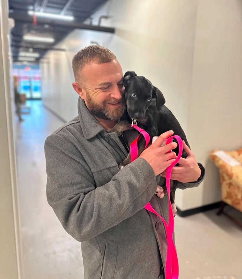A man with a beard smiling and hugging a black puppy with blue eyes and pink leash indoors.