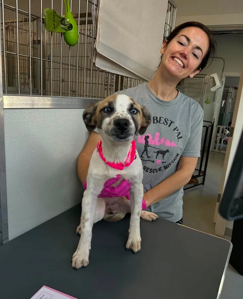 A smiling woman at a veterinary clinic holding a puppy with blue eyes and a pink collar, standing on an examination table, with cages and veterinary equipment in the background.