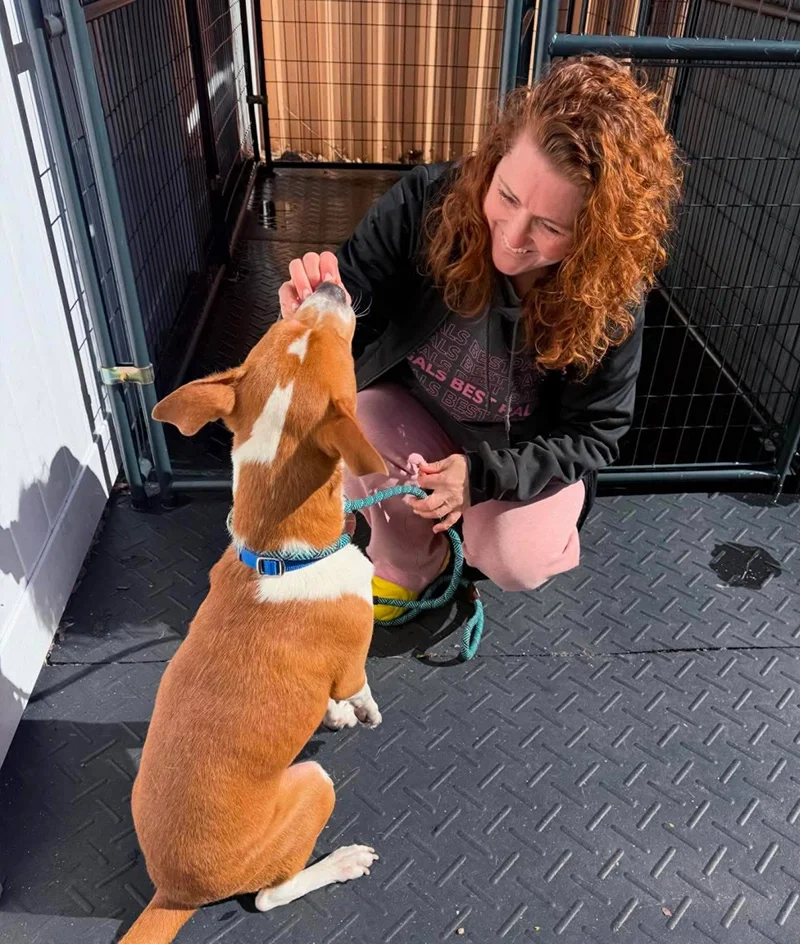A woman with curly red hair squatting and petting a brown and white puppy.