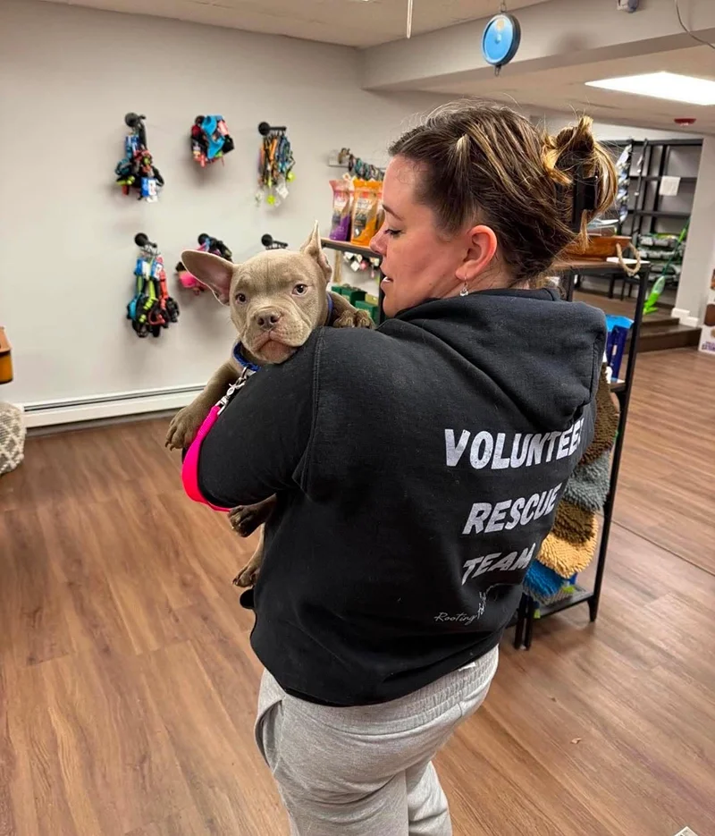 A woman holding a brown and gray puppy with big ears inside Gals Best Pal. The woman is wearing a black hoodie with 'VOLUNTEER RESCUE TEAM' written on the back.