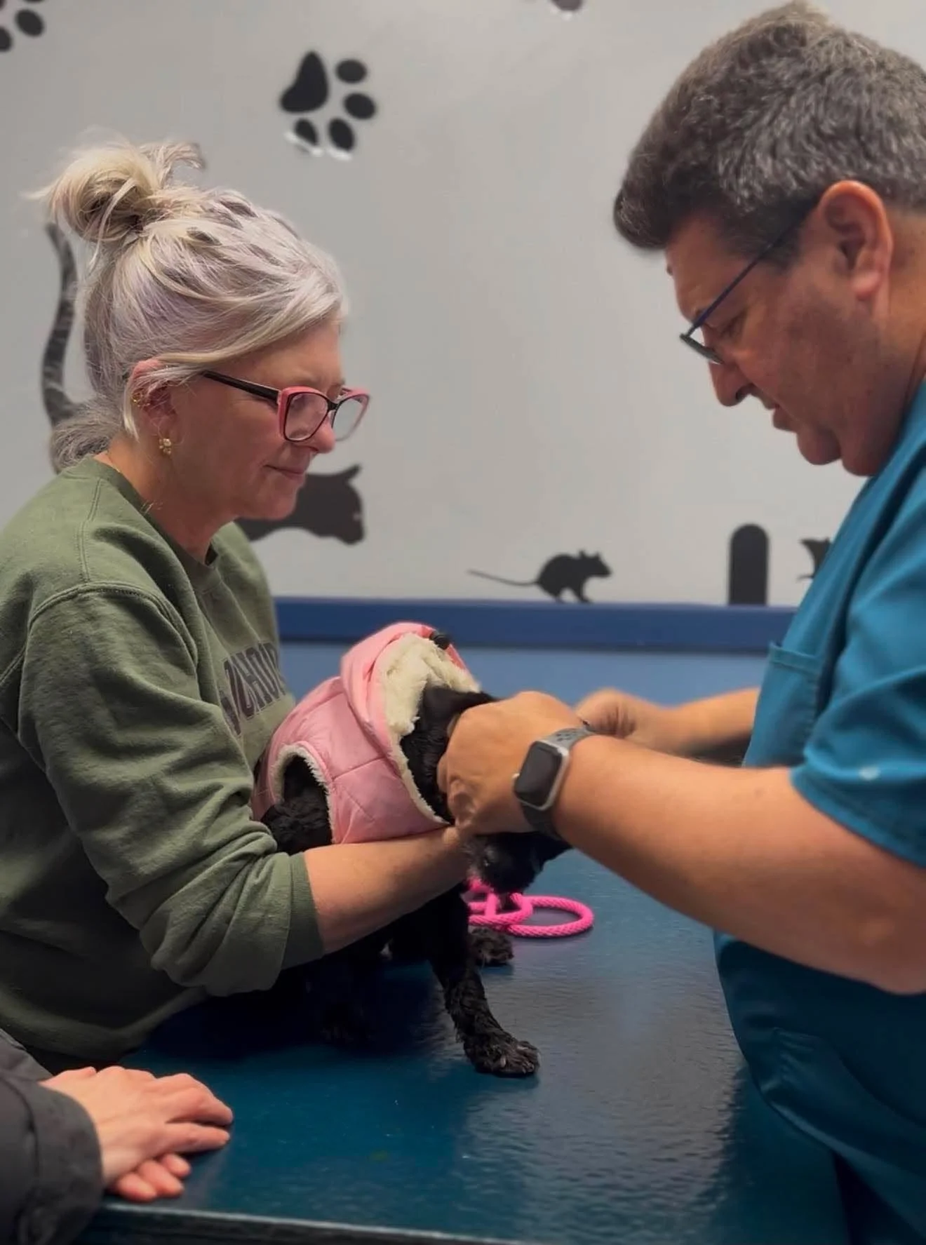 A woman and a man are tending to a small black puppy dressed in a pink hoodie, inside an animal clinic. The woman is wearing glasses and a green sweatshirt, and the man is wearing glasses and a blue shirt. 