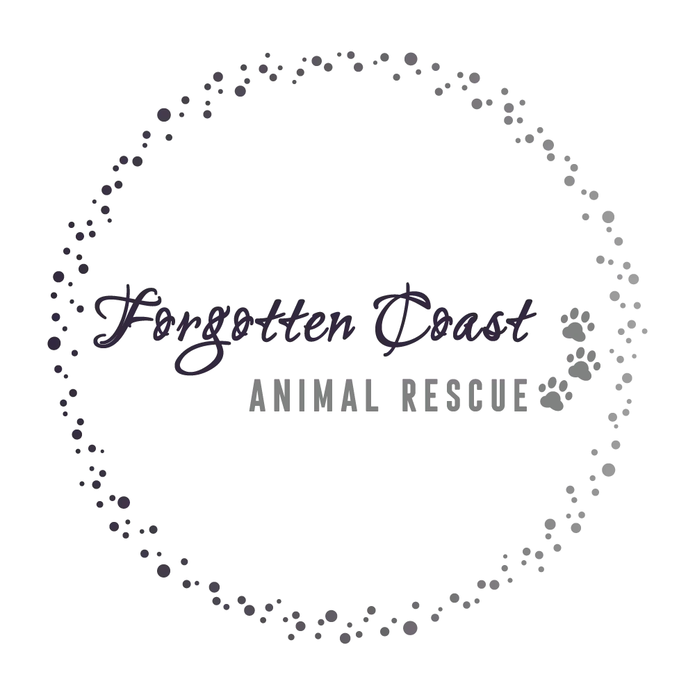 Forgotten Coast Animal Rescue