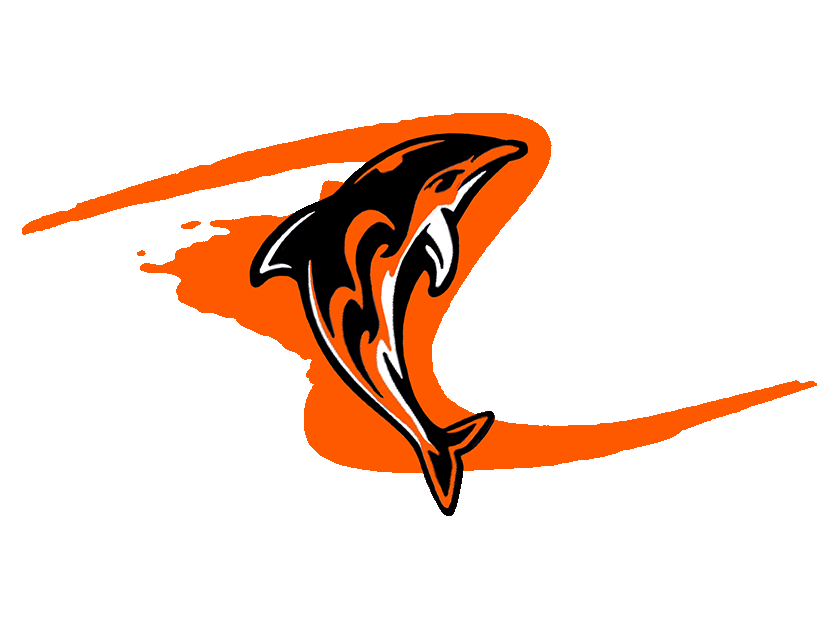 South Burlington Dolphins Foundation