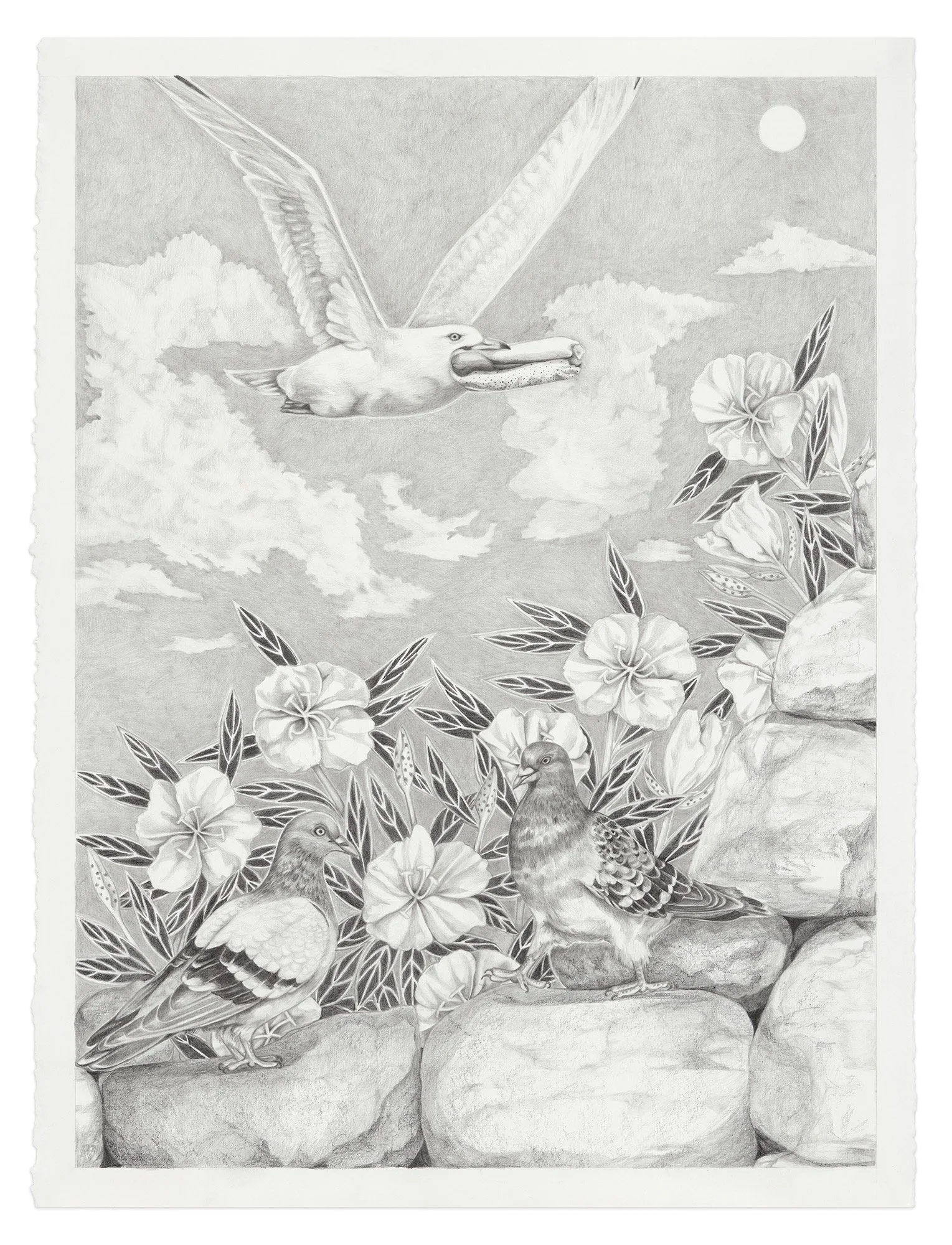 2. The Wonders of Nature 22_x30_.jpeg