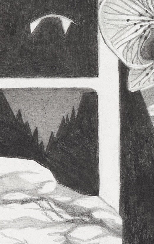7b Crop.jpeg