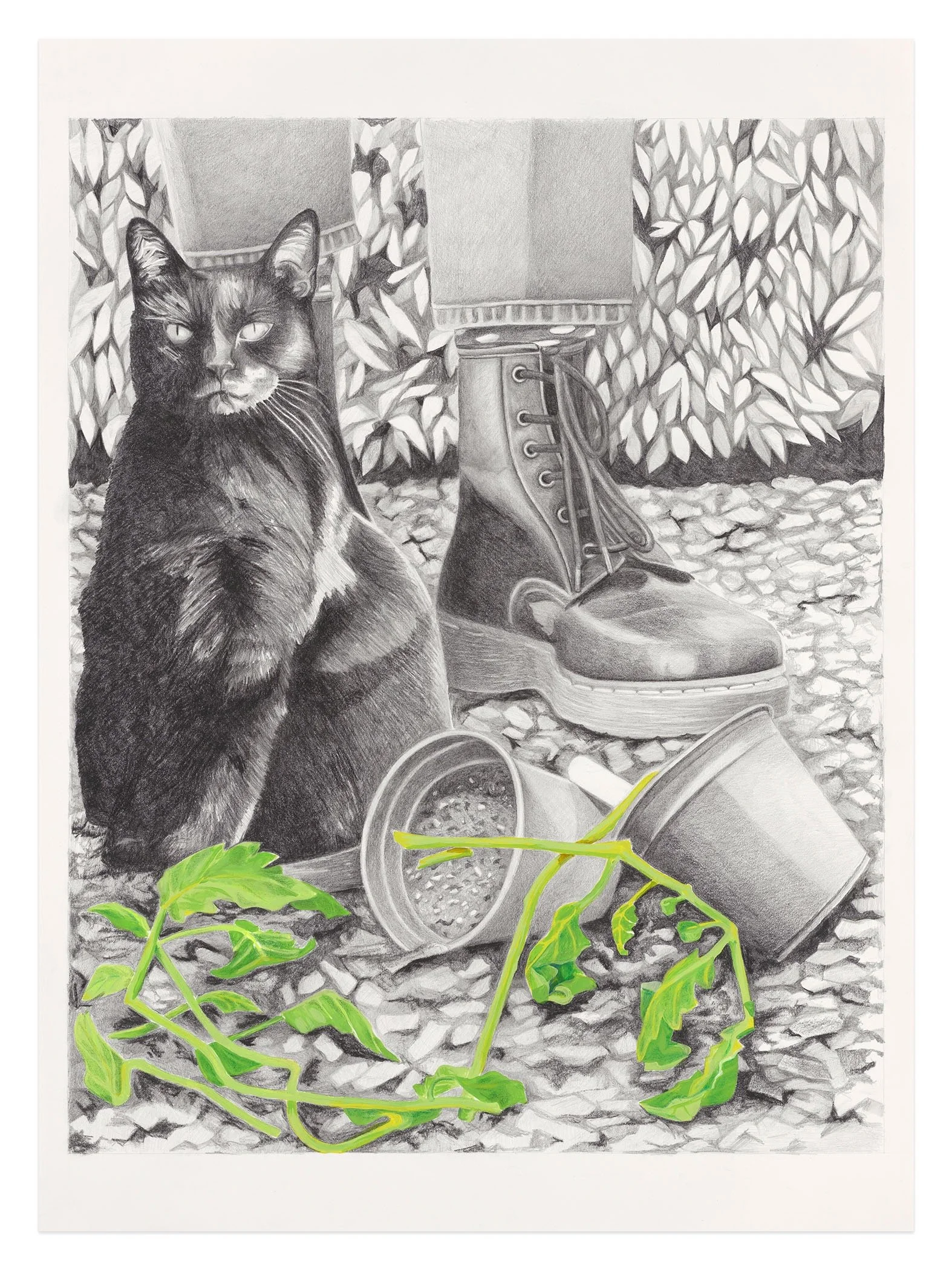 10. Perspective Shift 22_x30_.jpeg