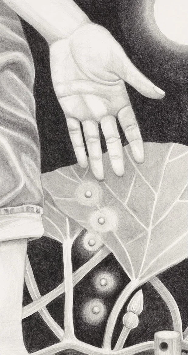 13b Crop.jpeg