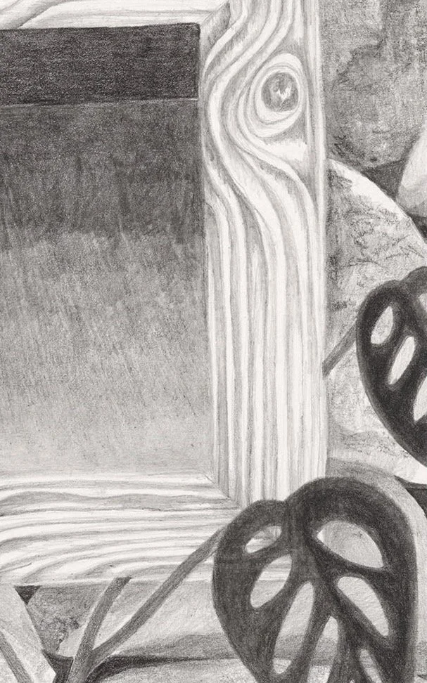 6a Crop.jpeg