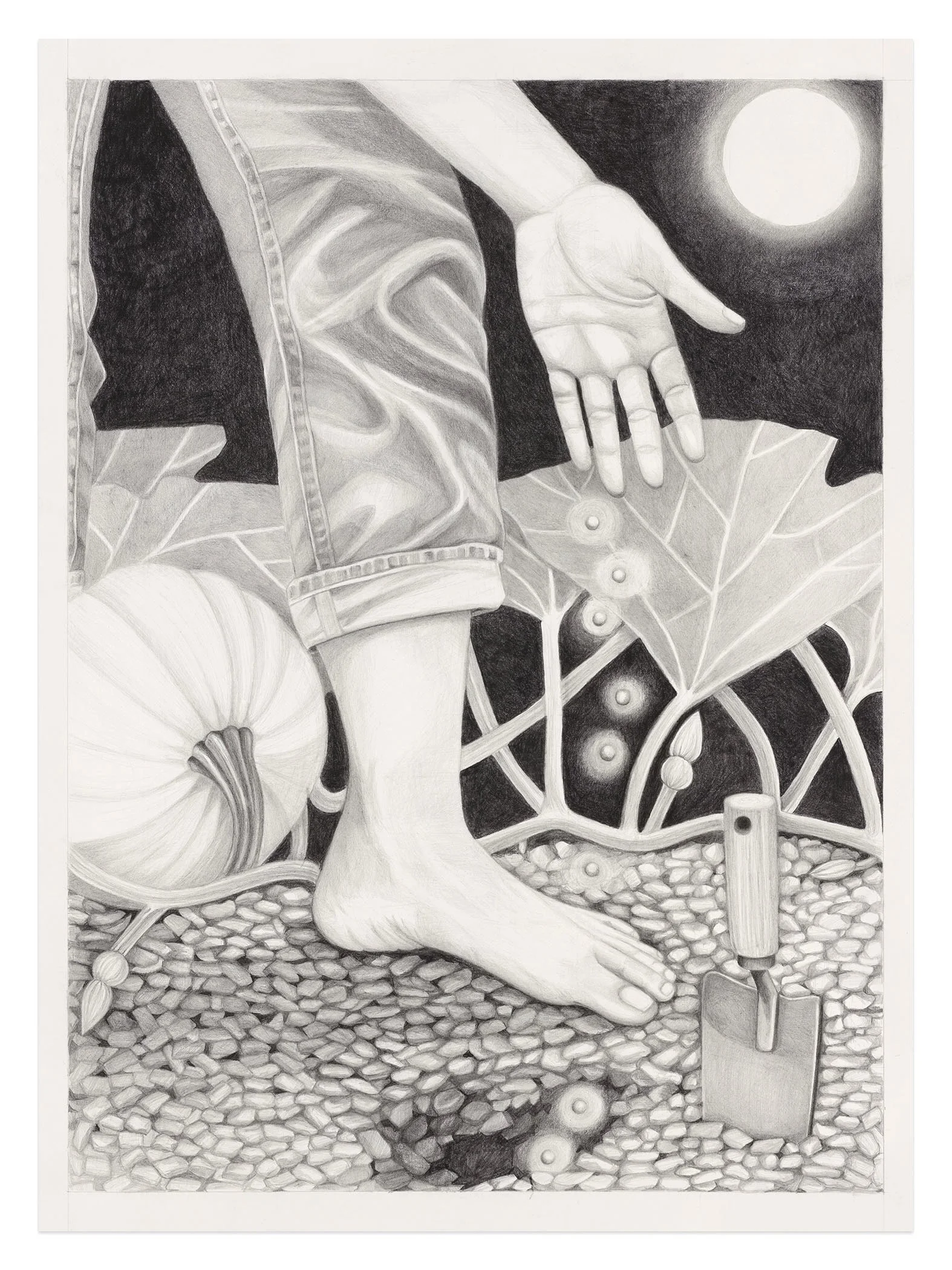 13. Planting by the Moon.jpeg