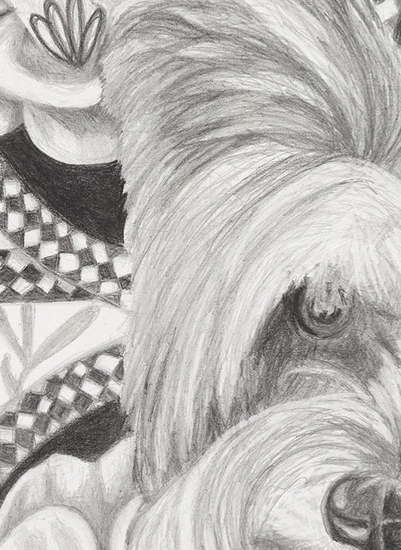 11a Crop.jpeg