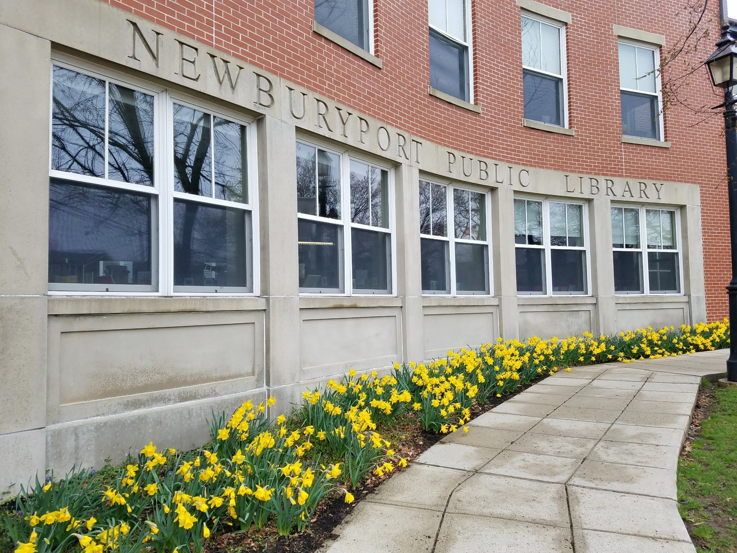 Exterior view of the Newburyport Public Library building with large windows, brick facade, and a flower bed of yellow flowers lining the sidewalk.