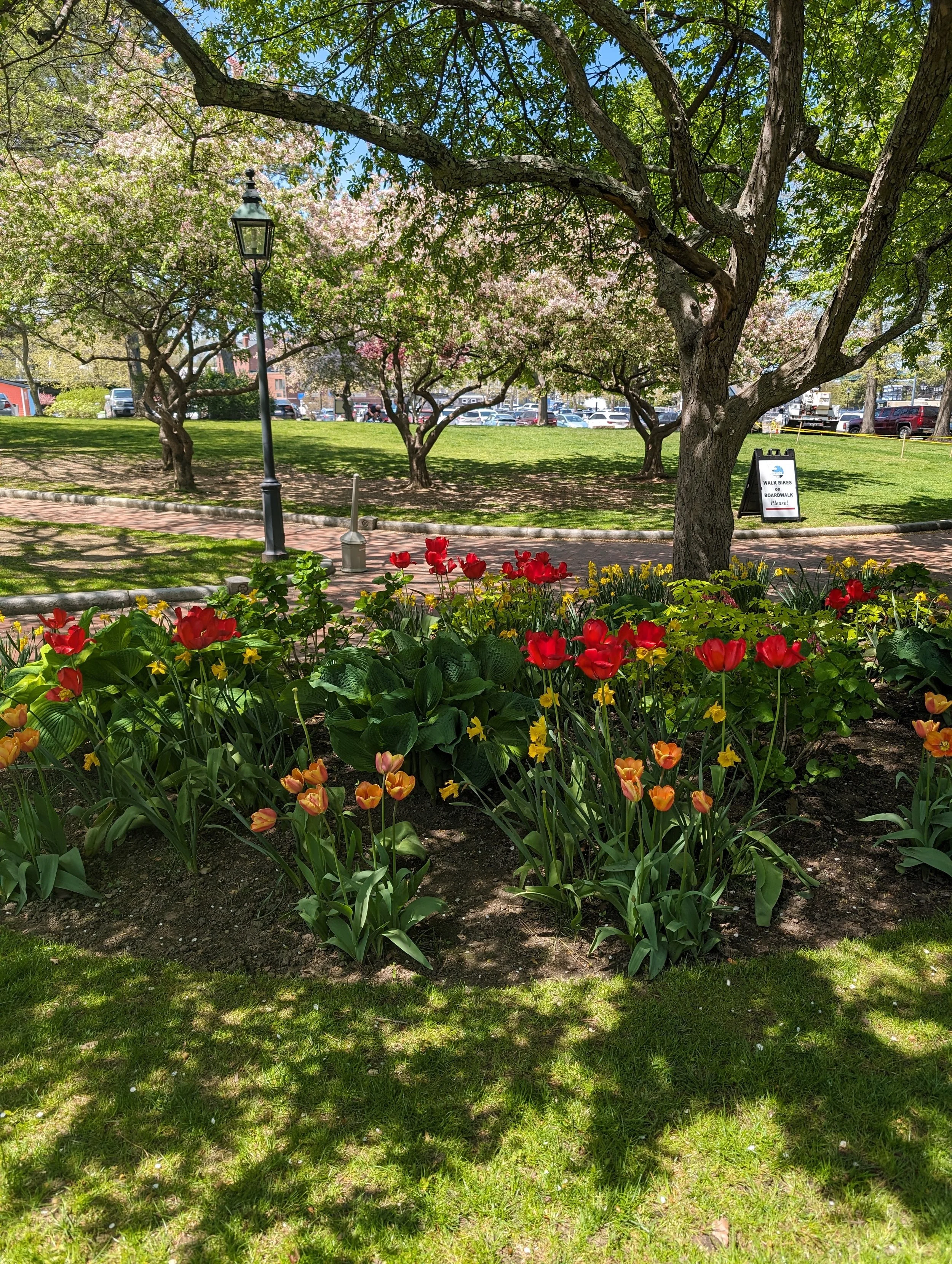 A park with flowering trees, a grassy area, and a flower bed with red and yellow flowers in the foreground. A lamppost and a sidewalk are also visible.