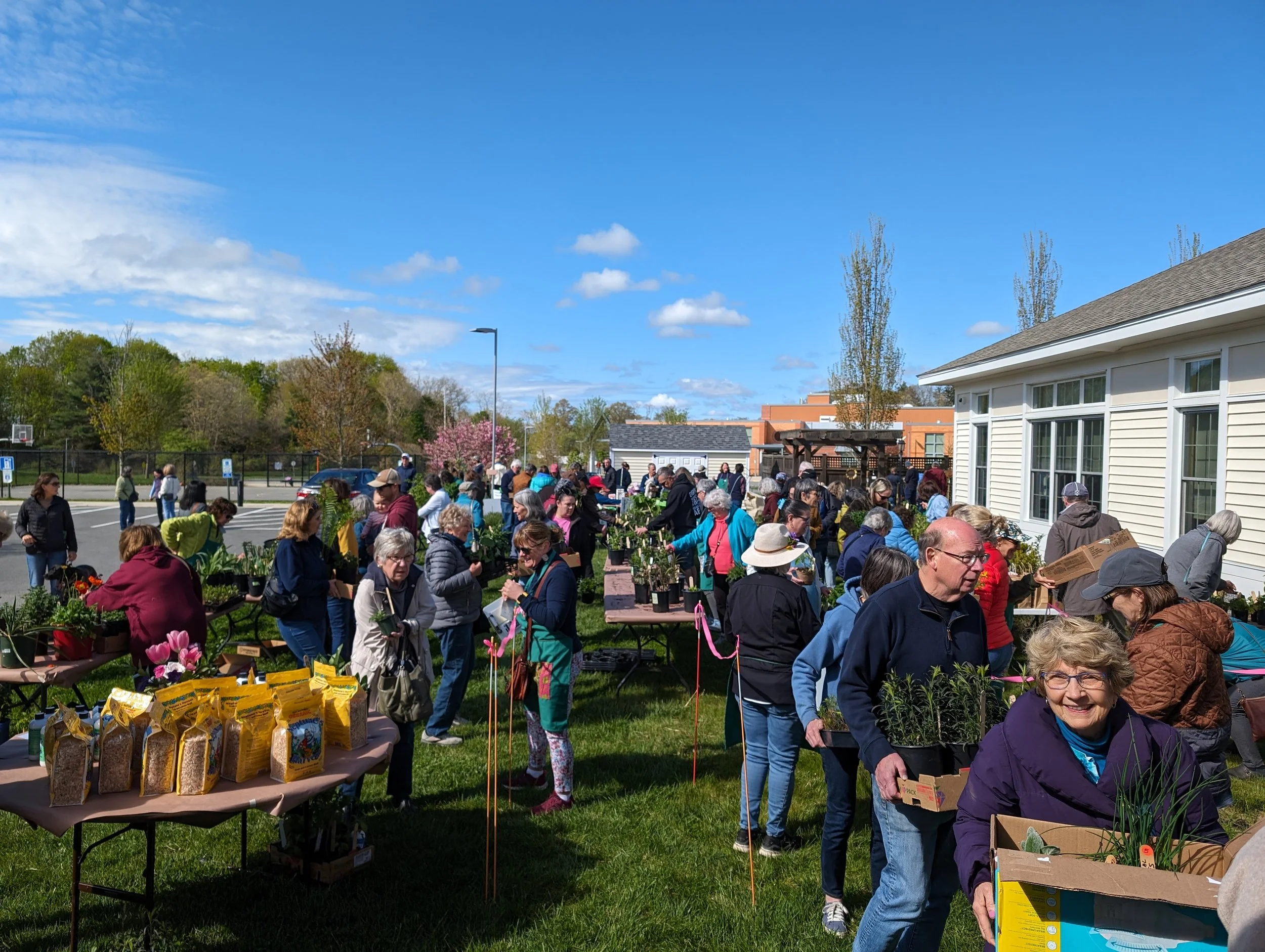 People attending an outdoor plant sale or gardening event on a bright, sunny day with a clear blue sky and some clouds, surrounded by trees and buildings.