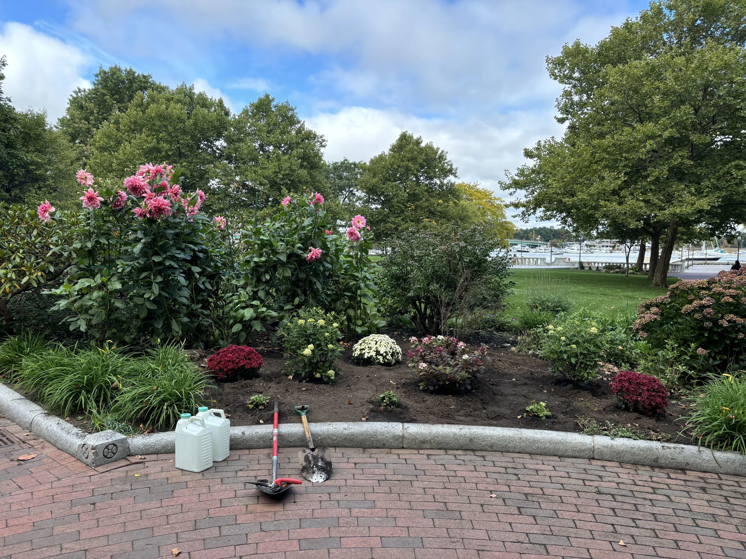 Garden bed under maintenance with gardening tools and containers, surrounded by trees and a harbor view in the background.