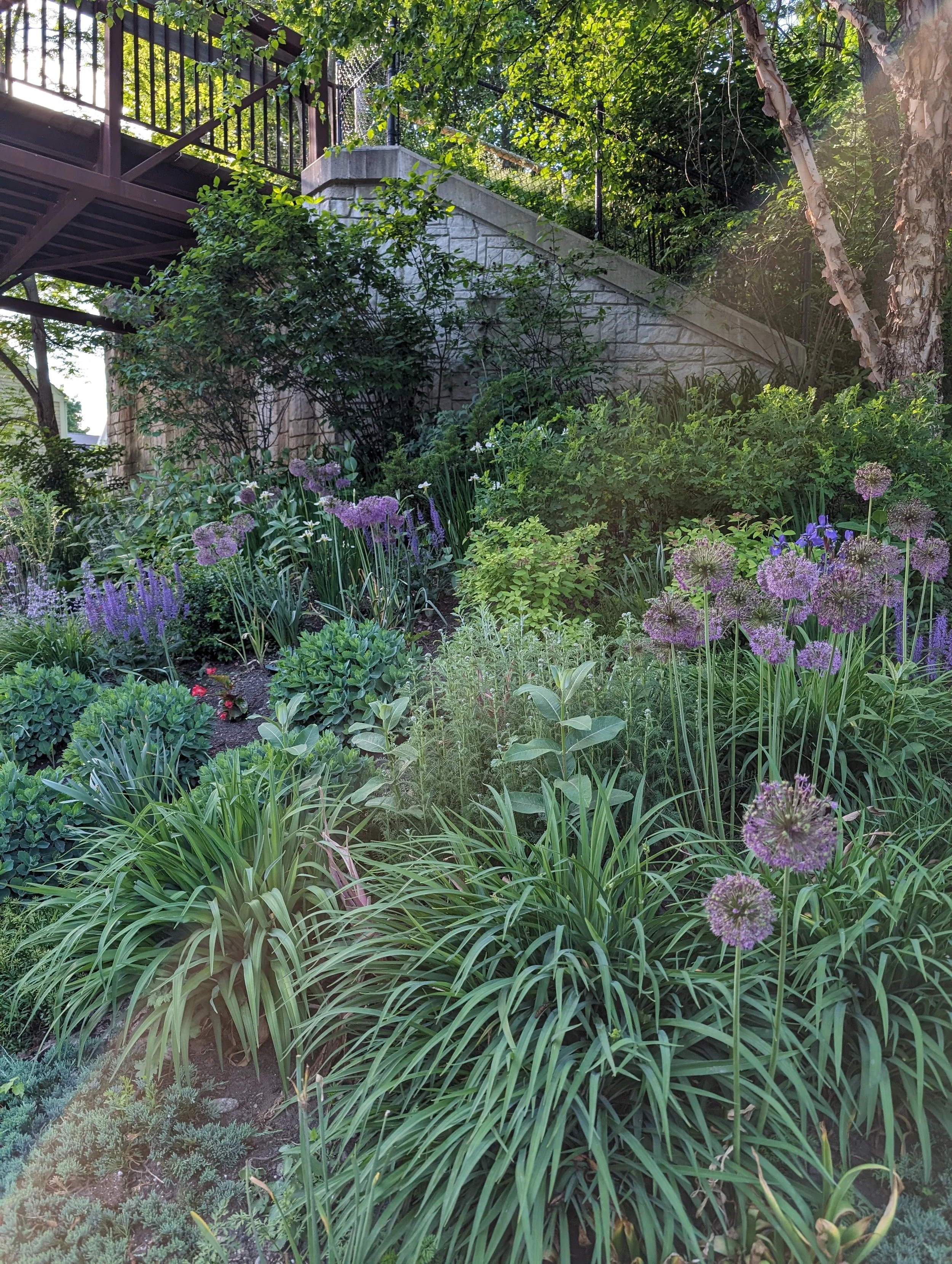 A lush garden with various green plants, purple flowers, and a stone staircase with a metal railing leading to an upper level surrounded by foliage and trees.