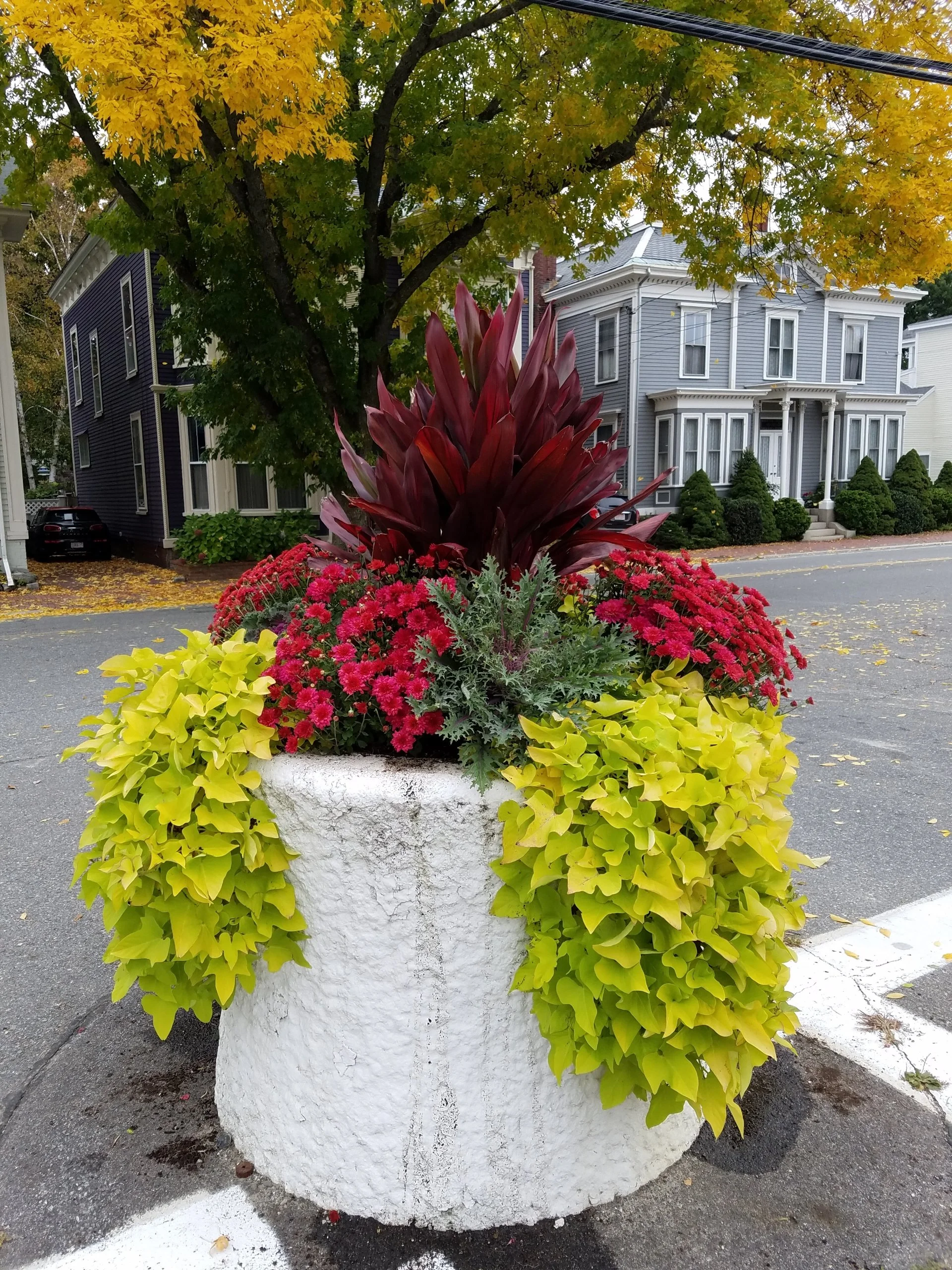 A white stone flower pot with red, pink, green, and yellow plants, set on a street with houses and autumn trees in the background.