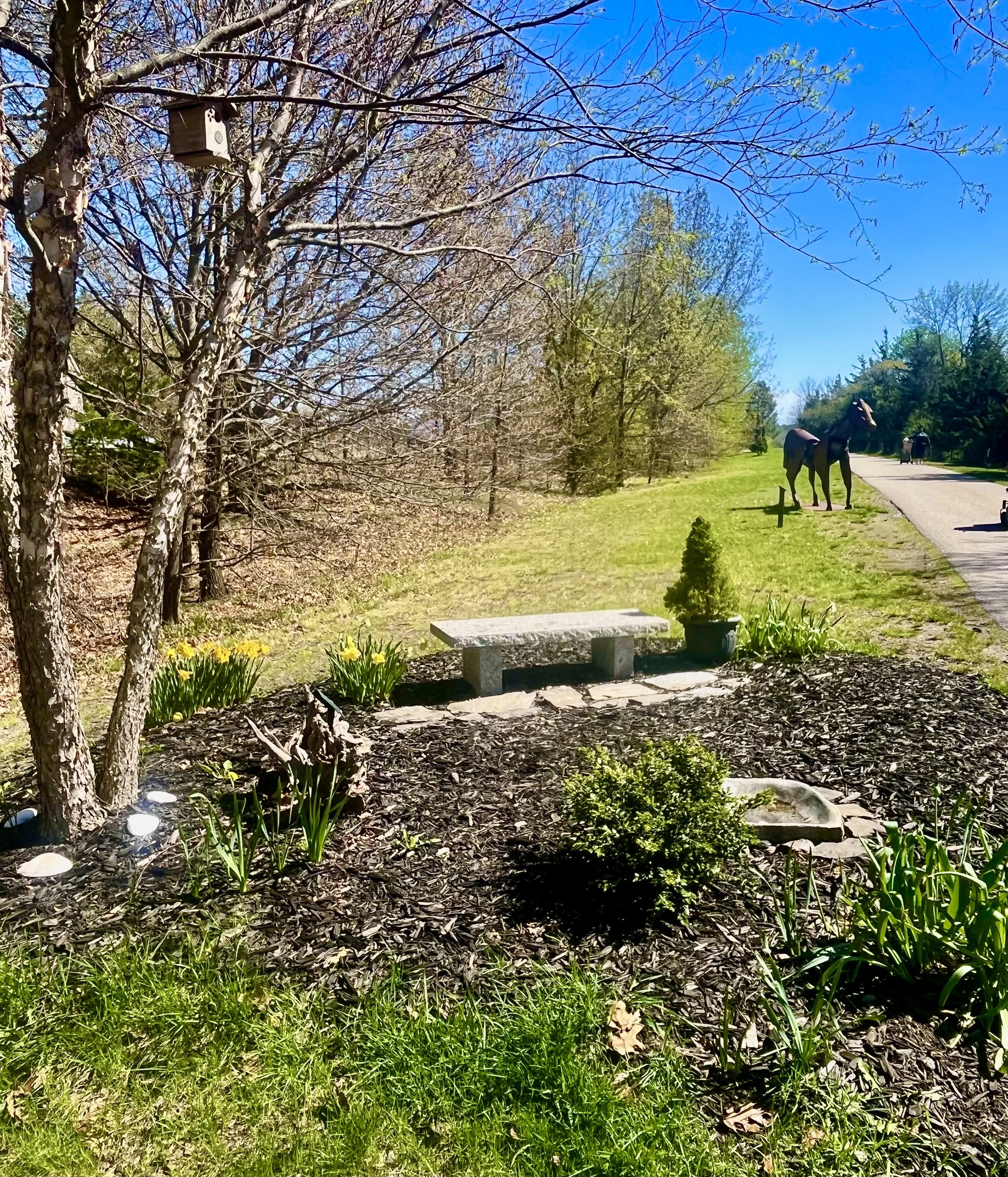 A car tire planter with small green shrub, a dog sitting on a stone pathway, bare trees outdoors, and a blue sky in the background.
