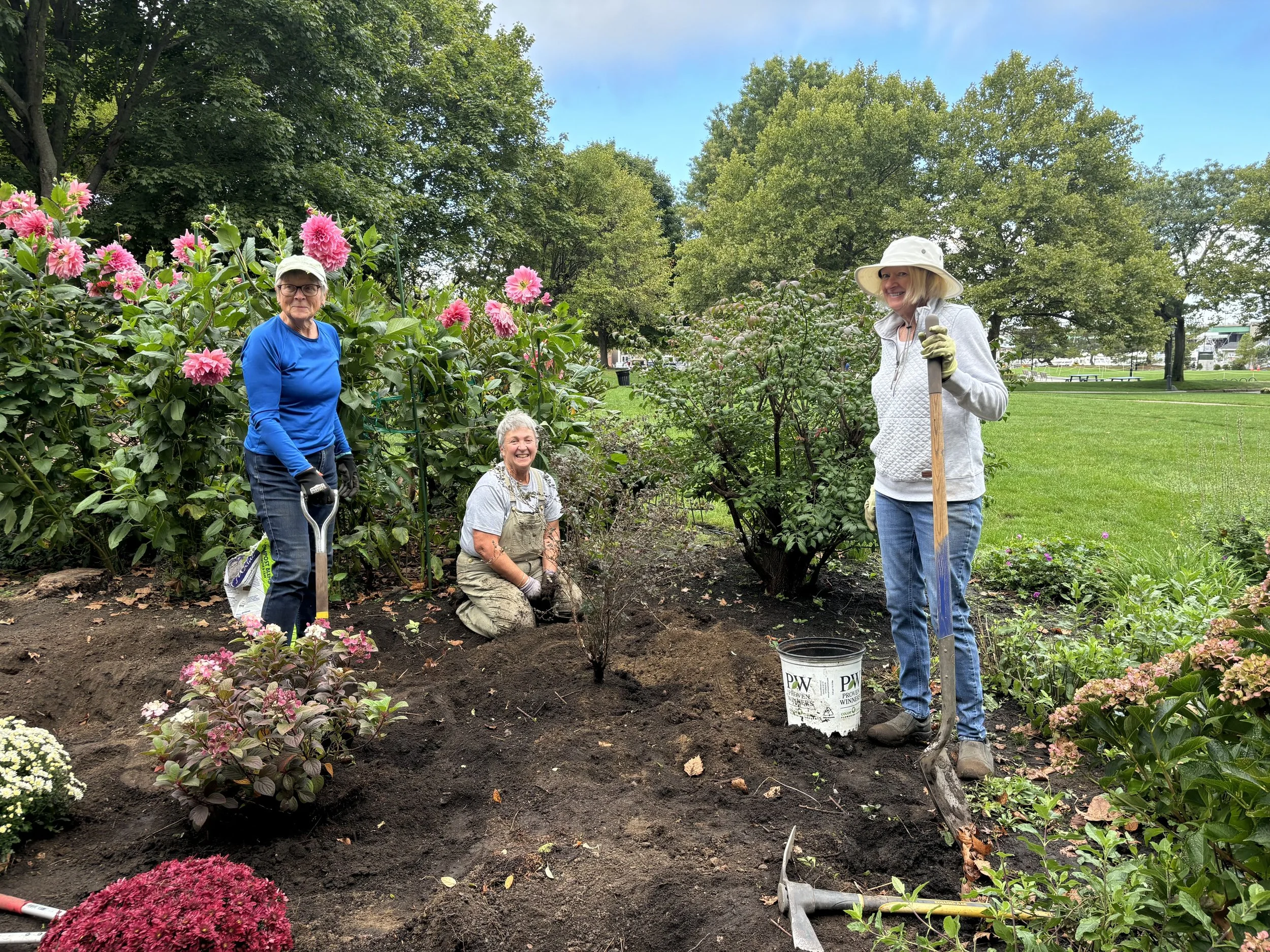 Three women planting flowers in a public park, surrounded by trees and greenery, with gardening tools and a bucket nearby.