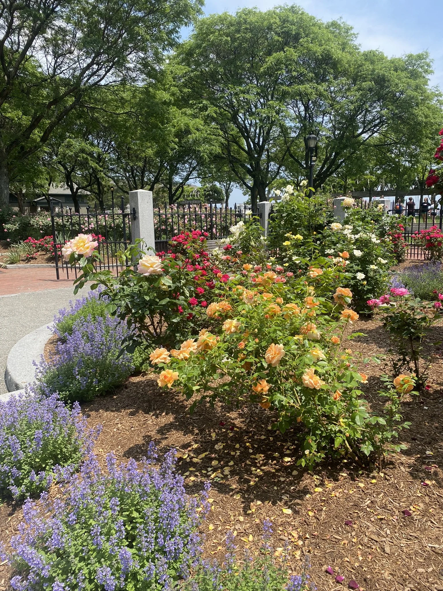A garden with colorful flowers including purple, yellow, orange, and pink blossoms, surrounded by mulch, bordered by a brick walkway, and enclosed by black metal fencing. Large green trees are in the background under a partly cloudy sky.