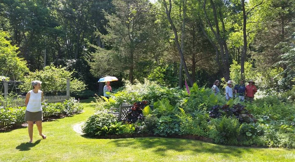 People walking in a lush green garden on a sunny day, some with umbrellas, surrounded by trees and flowering plants.