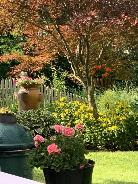 A lush backyard garden with colorful flowers, a tree in the center, hanging flower baskets, and a white picket fence in the background.