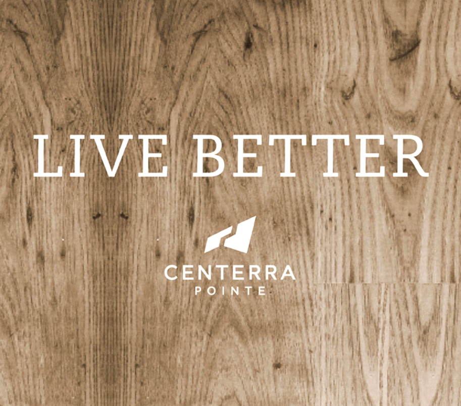 D3 Digital Immersive Animation