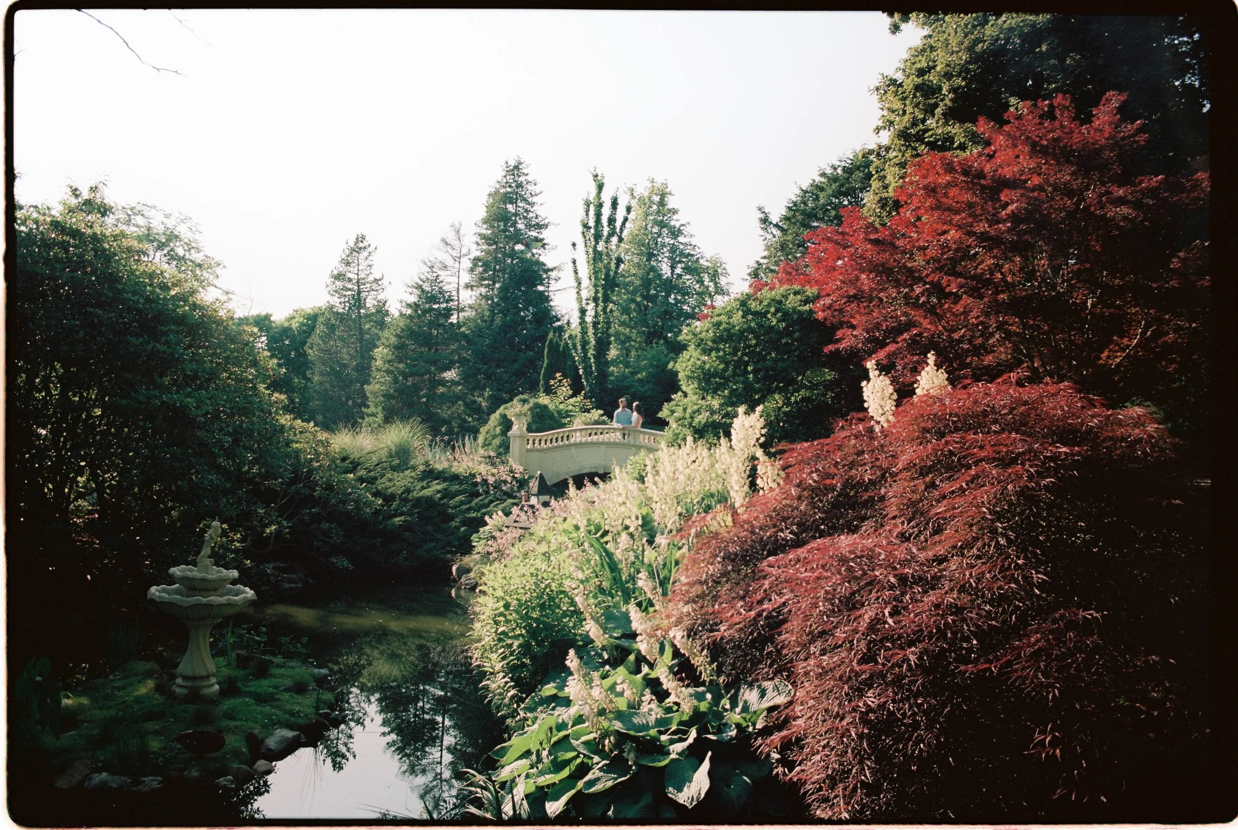 J&A_FILM_ENG-0002.jpg